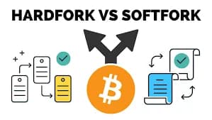 Hard fork vs. Soft fork - Definition & tax implications